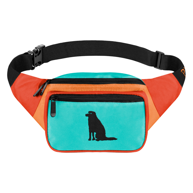 (PRE-ORDER) Post-Apocalyptic Dog Walking Kit COMPLETE