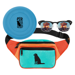 (PRE-ORDER) Post-Apocalyptic Dog Walking Kit