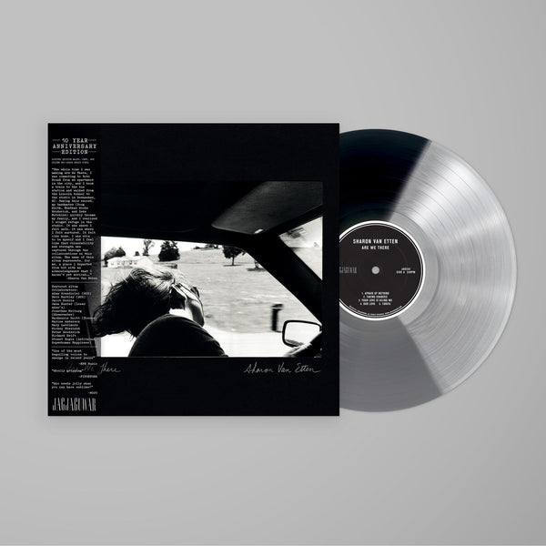Are We There 10th Anniversary Edition Black/Silver/Grey Vinyl LP