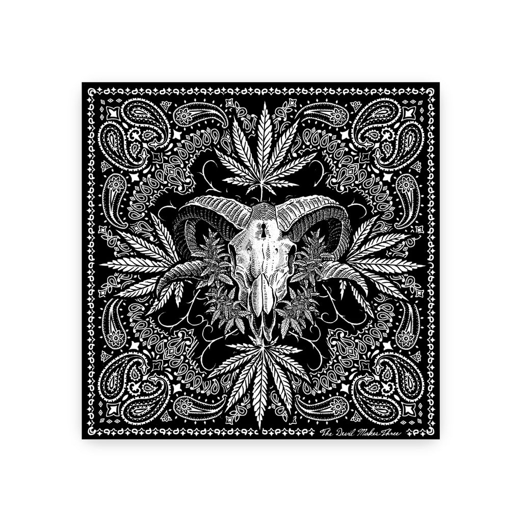 TDM3Bandana_1024x.jpg?v=1744618560