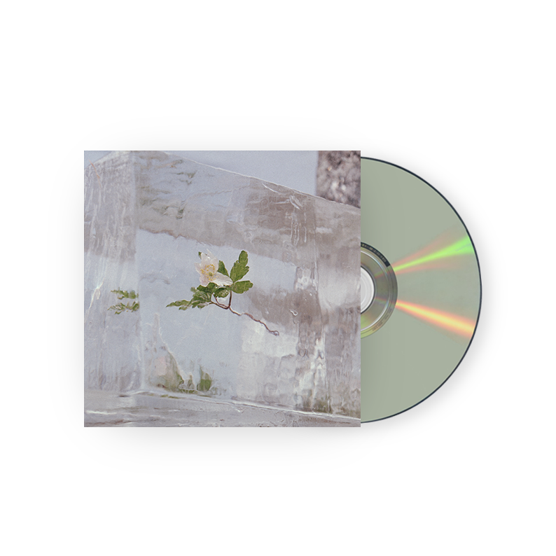 Windflowers CD