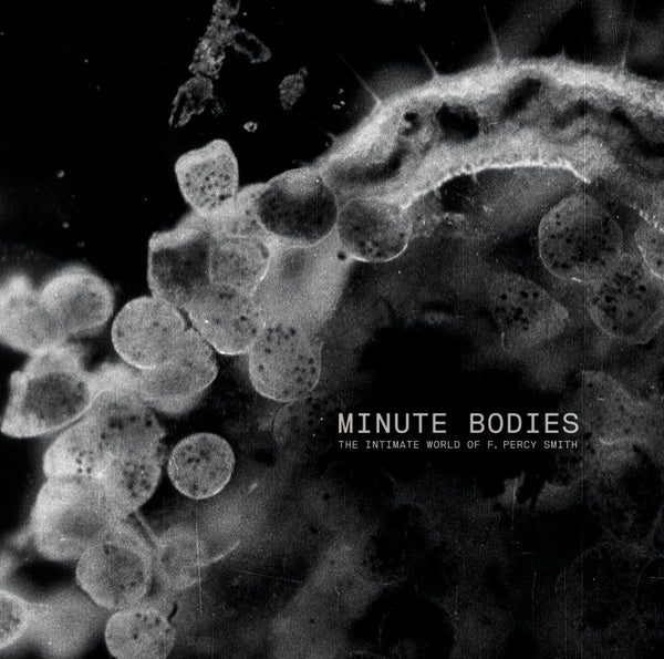 tindersticks Minute Bodies CD/DVD - Bingo Merch Official Merchandise Shop Official