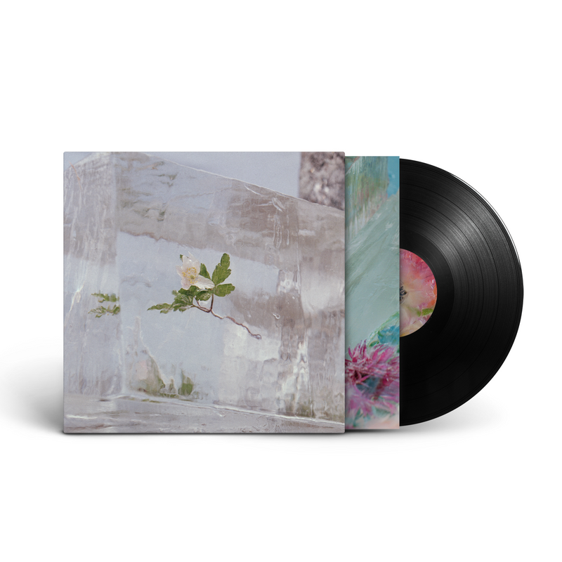 Windflowers LP